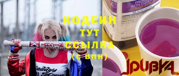 шишки Абаза